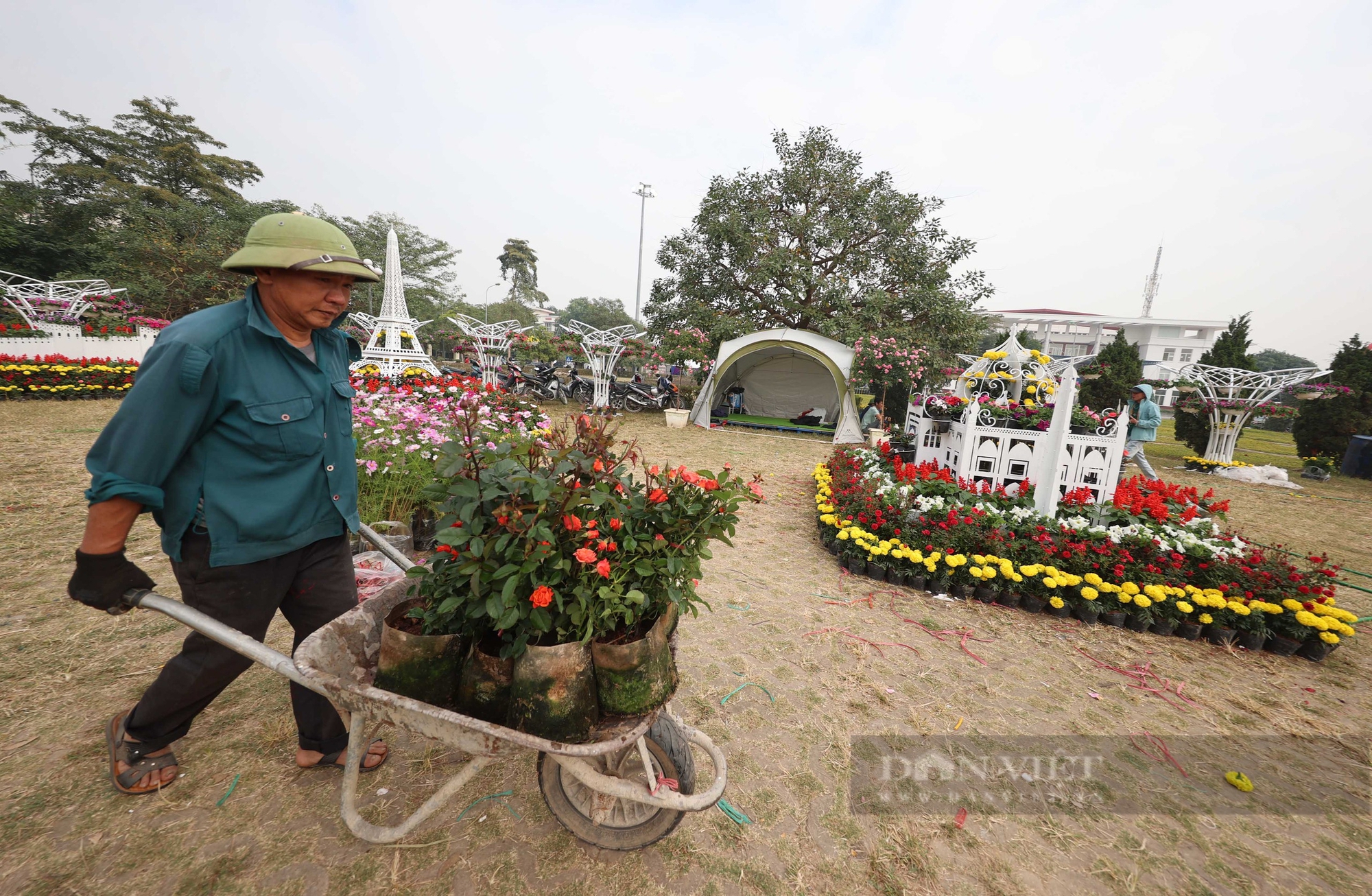 Trăm hoa đua nở trước giờ ra mắt Festival hoa Mê Linh lớn nhất miền Bắc - Ảnh 11.