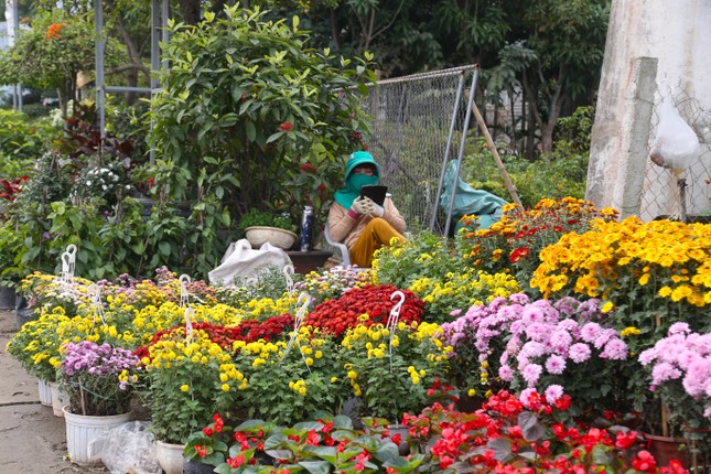 Mặt bằng bán hoa, cây cảnh Tết hiếm, có tiền cũng khó thuê ảnh 4