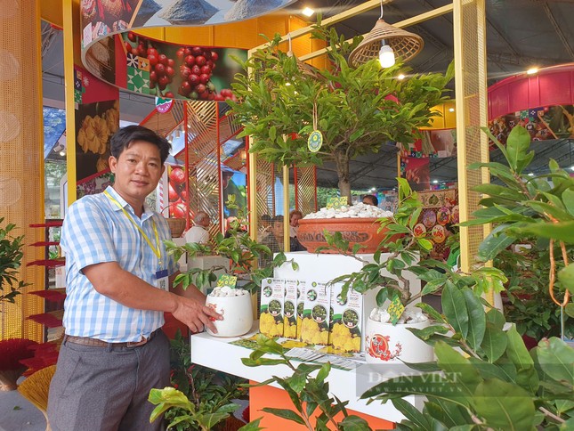 Sắp Tết, nông dân làng mai vàng Bình Lợi chuẩn bị đưa 'hàng' ra Bắc ảnh 2