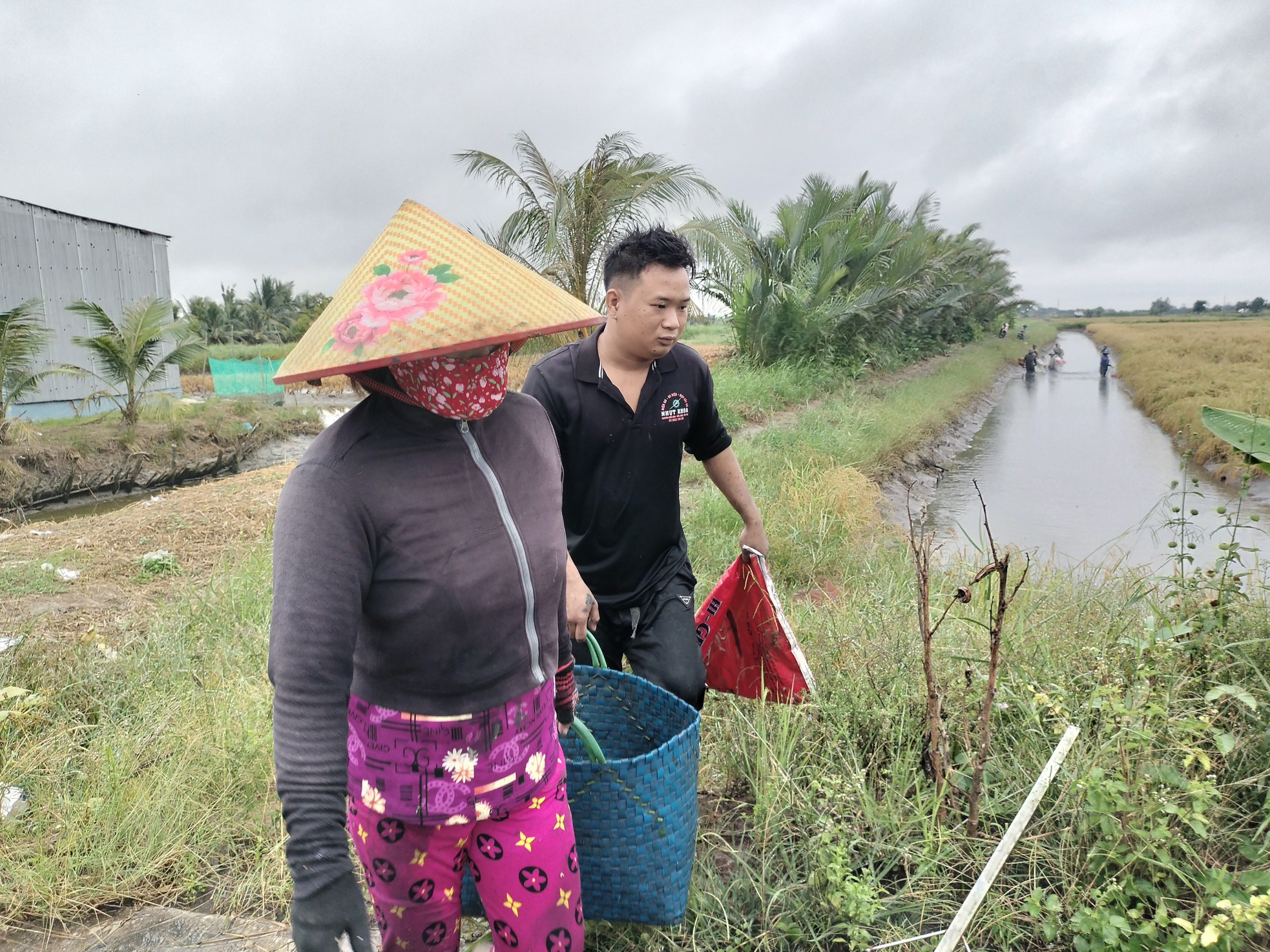 Cận cảnh nông dân Cà Mau quậy bùn bắt tôm càng xanh ảnh 7