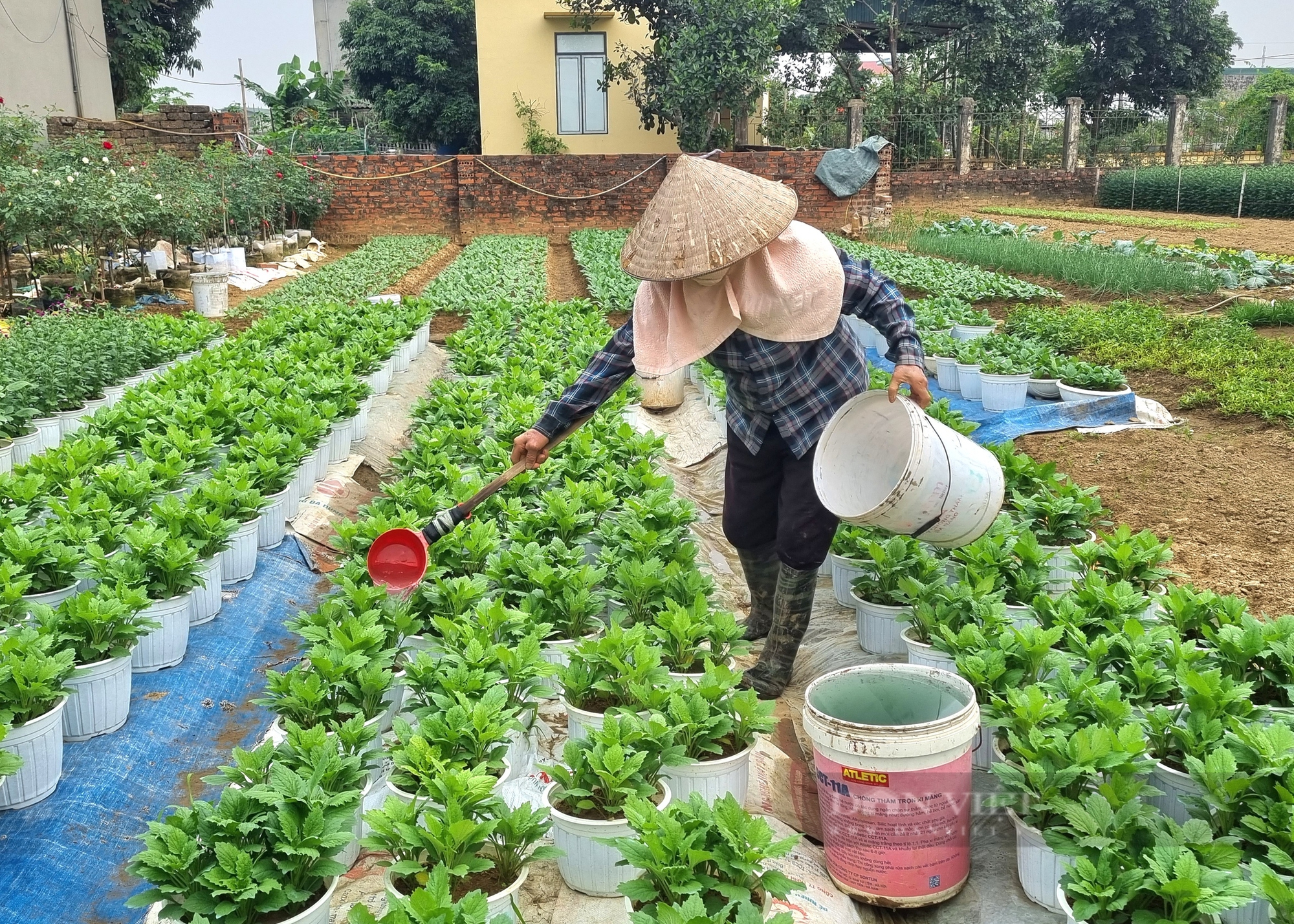 Rực rỡ sắc màu tại 