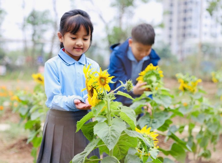 Môi trường xanh, gần gũi với thiên nhiên.