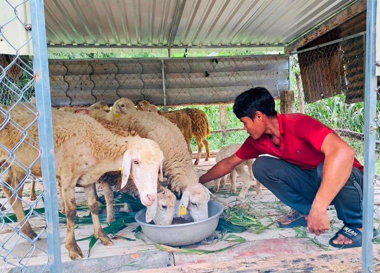 Khuyến nông cung ứng đội ngũ nông dân chất lượng, chuyên nghiệp, có mặt trên mọi lĩnh vực ngành nông nghiệp - Ảnh 3.