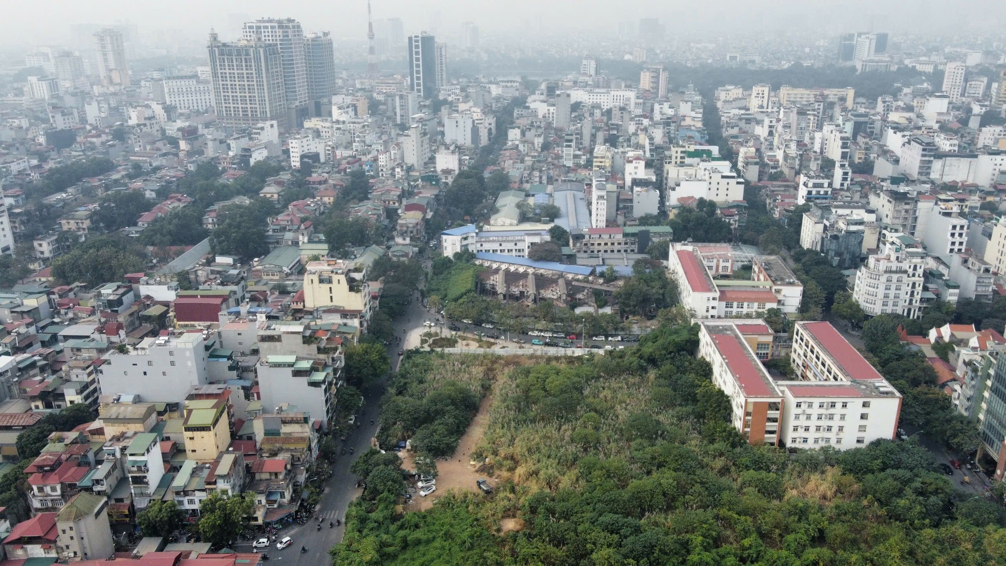 Cỏ dại mọc um tùm như 'rừng' trong khu đất vàng Hà Nội loại bỏ chức năng nhà ở ảnh 4