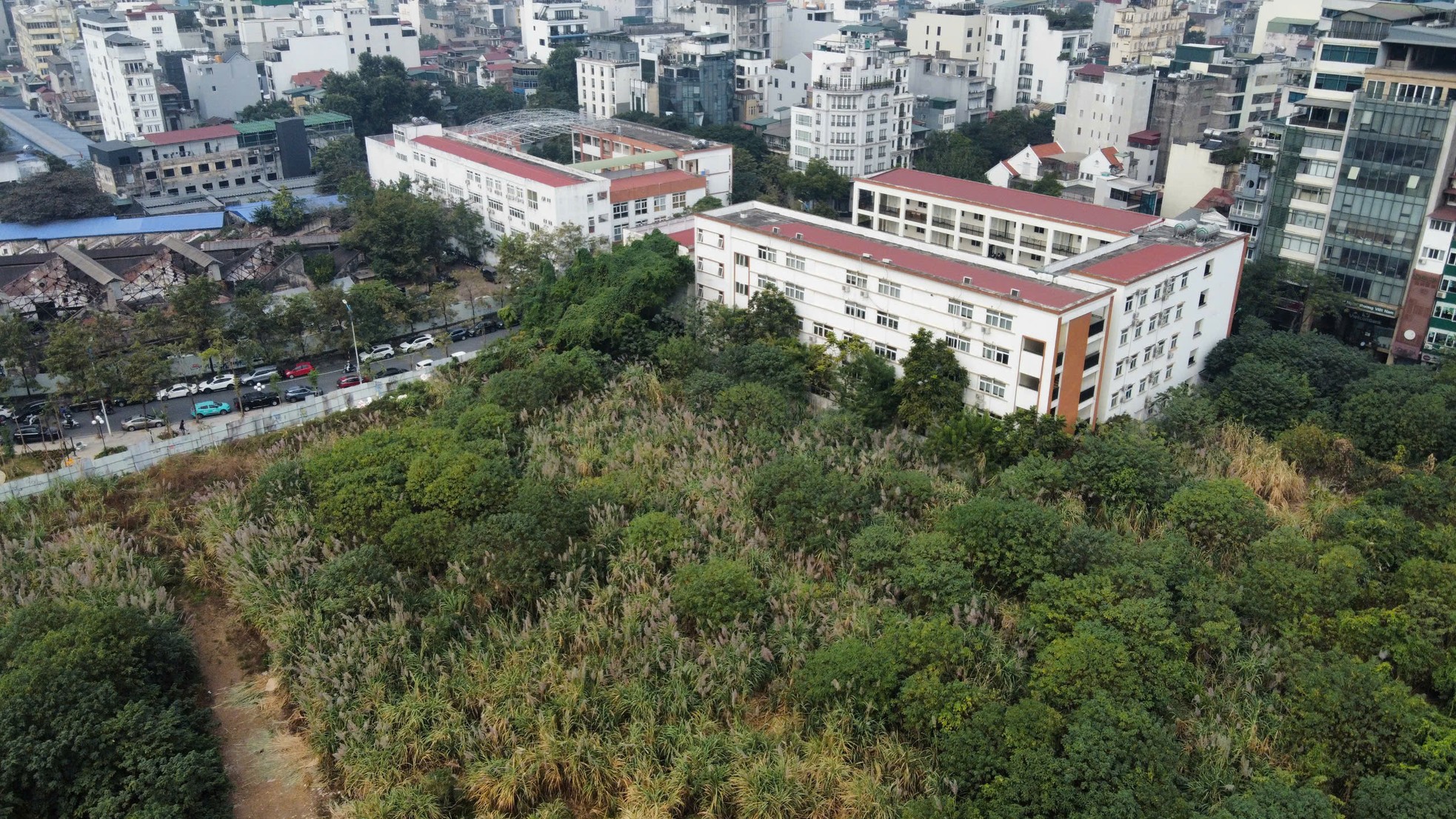 Cỏ dại mọc um tùm như 'rừng' trong khu đất vàng Hà Nội loại bỏ chức năng nhà ở ảnh 11