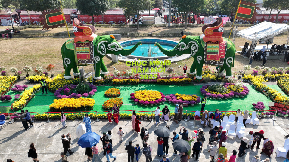 Du khách ùn ùn đổ về Festival hoa Mê Linh dịp cuối tuần - Ảnh 5