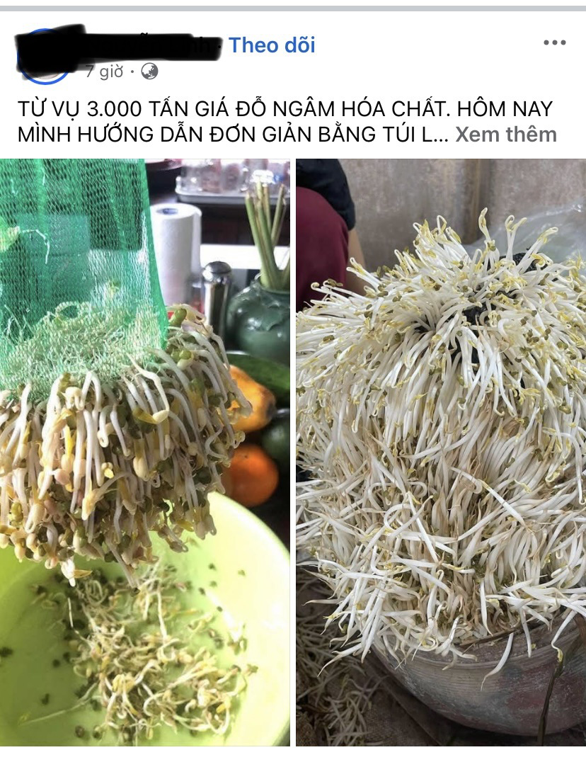 ‘Phong trào’ làm giá đỗ tại nhà trở lại, chị em rần rần chia sẻ cách làm dễ ẹc - Ảnh 3.