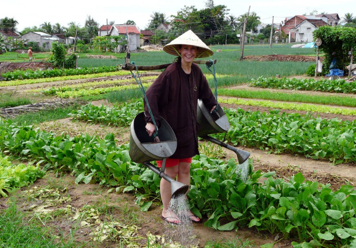 Làng rau Trà Quế đón lượng khách du lịch ngày càng đông.