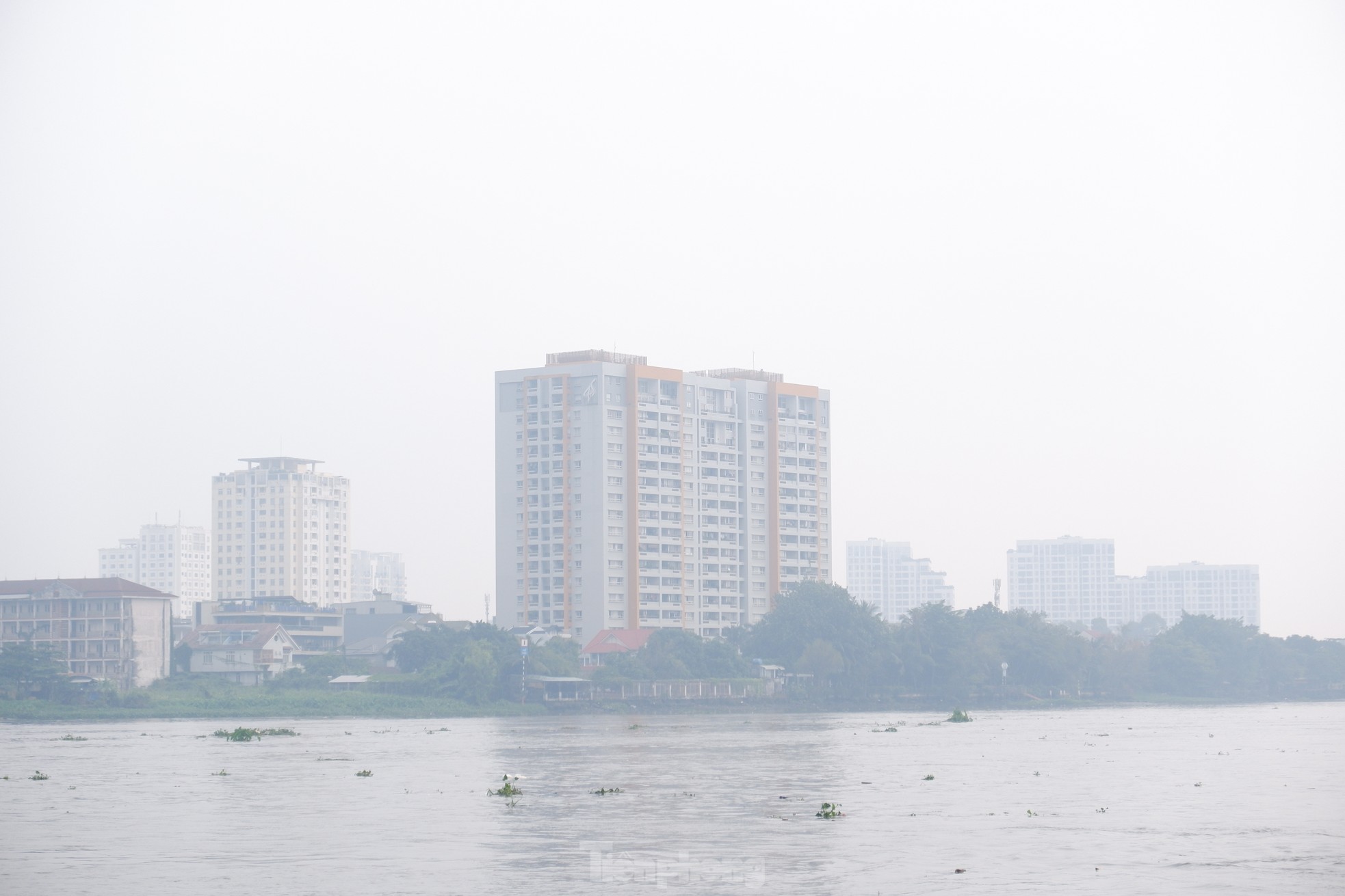 Bầu trời TPHCM mù mịt, khả năng có mưa trái mùa hôm nay ảnh 4