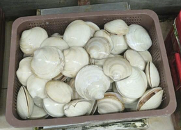 ครอบครัวของฉัน