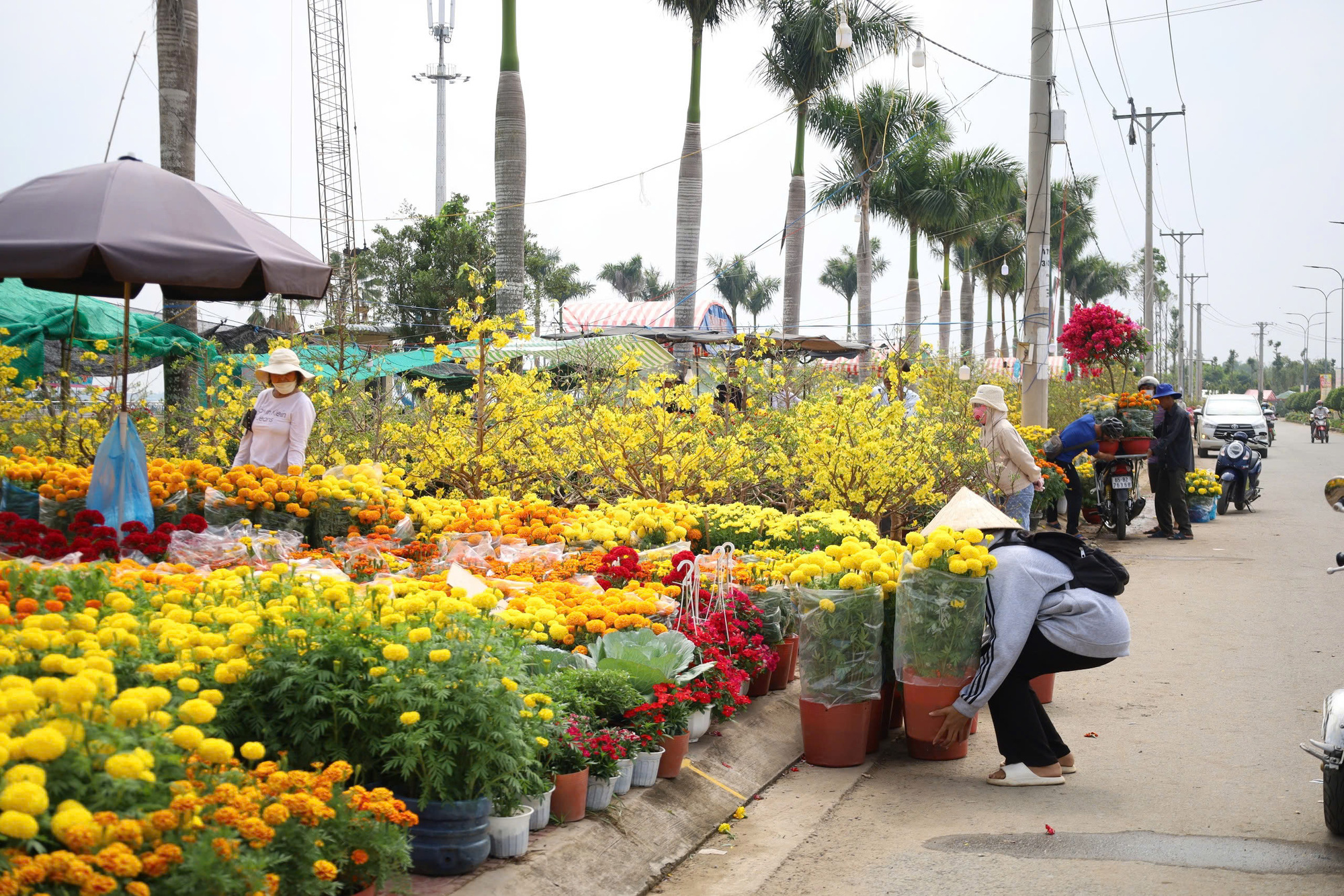 Chợ hoa Tết Cần Thơ miễn tiền thuê mặt bằng, tiền điện, nước - Ảnh 1.