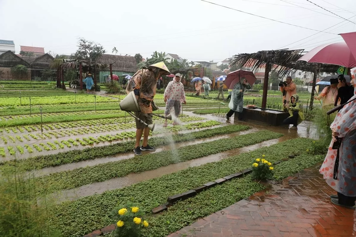 Quảng Nam: Đại biểu quốc tế hào hứng tham quan, trải nghiệm tại làng rau Trà Quế, Hội An