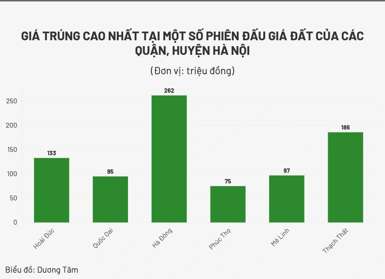 Đầu cơ gây hỗn loạn đấu giá đất vùng ven - điểm nóng bất động sản 2024 - 1