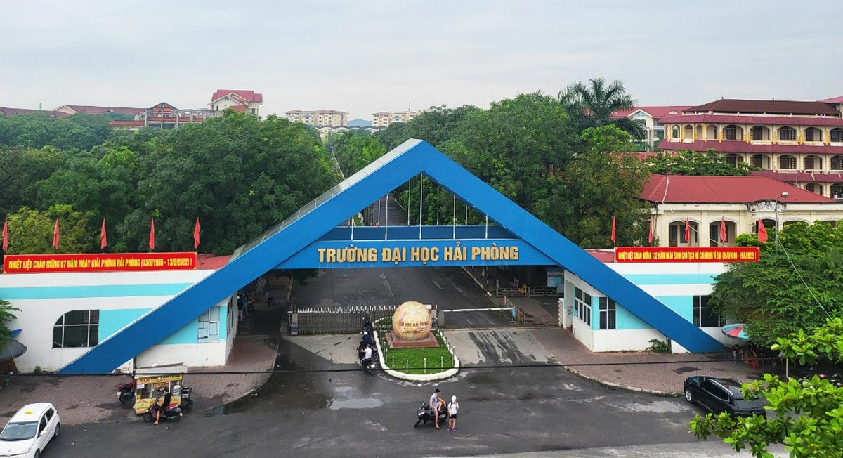 Giáo sư về dạy ở Đại học Hải Phòng được đề xuất hỗ trợ 500 triệu đồng - Ảnh 1.