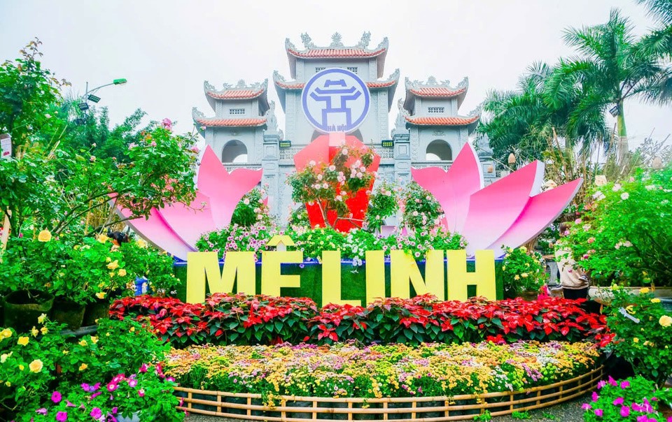 Hà Nội: Festival hoa Mê Linh lần thứ 2 được tổ chức với chủ đề "Mê Linh rực rỡ sắc hoa" - Ảnh 1.