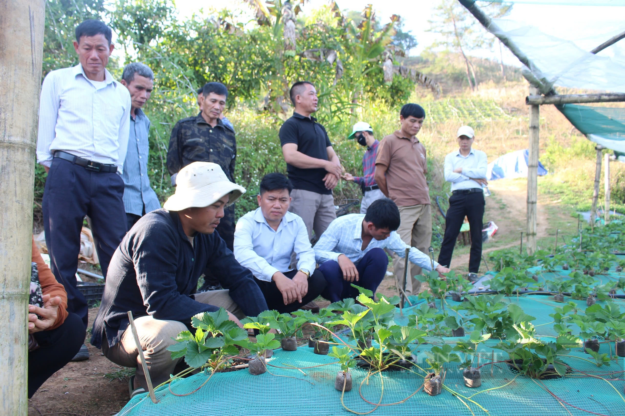 HTX Sơn La mong muốn có thêm nhiều cơ chế để phát triển nông nghiệp bên vững - Ảnh 1.