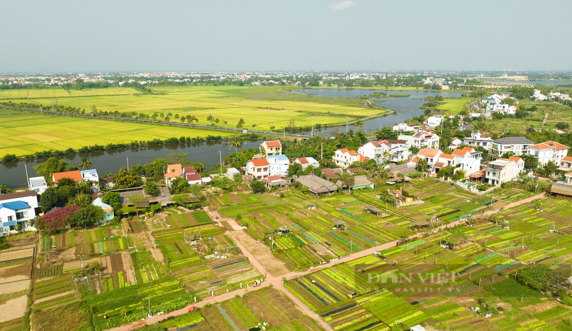 Khám phá Làng rau Trà Quế - Làng Du lịch tốt nhất năm 2024- Ảnh 1.