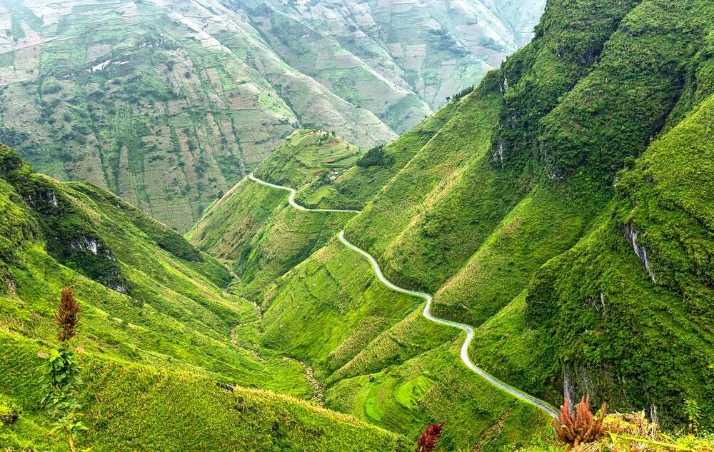 Theo anh Sơn, ngoài vách đá trắng, Hà Giang có nhiều điểm du lịch nổi tiếng khác mà du khách có thể tham khảo như cột cờ Lũng Cú, nghĩa trang liệt sĩ Vị Xuyên, dốc Thẩm Mã, dinh Vua Mèo... mỗi nơi đều có vẻ đẹp riêng tôn lên bản sắc văn hóa du lịch vùng Tây Bắc. Ảnh: NVCC