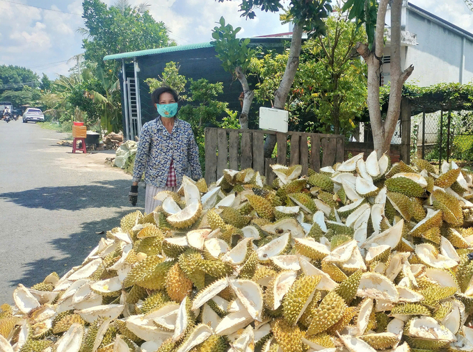 Lượng lớn vỏ sầu riêng phát sinh từ các doanh nghiệp bóc tách cơm xuất khẩu cần được xử lý, tránh ô nhiễm môi trường. Ảnh: Minh Đảm.