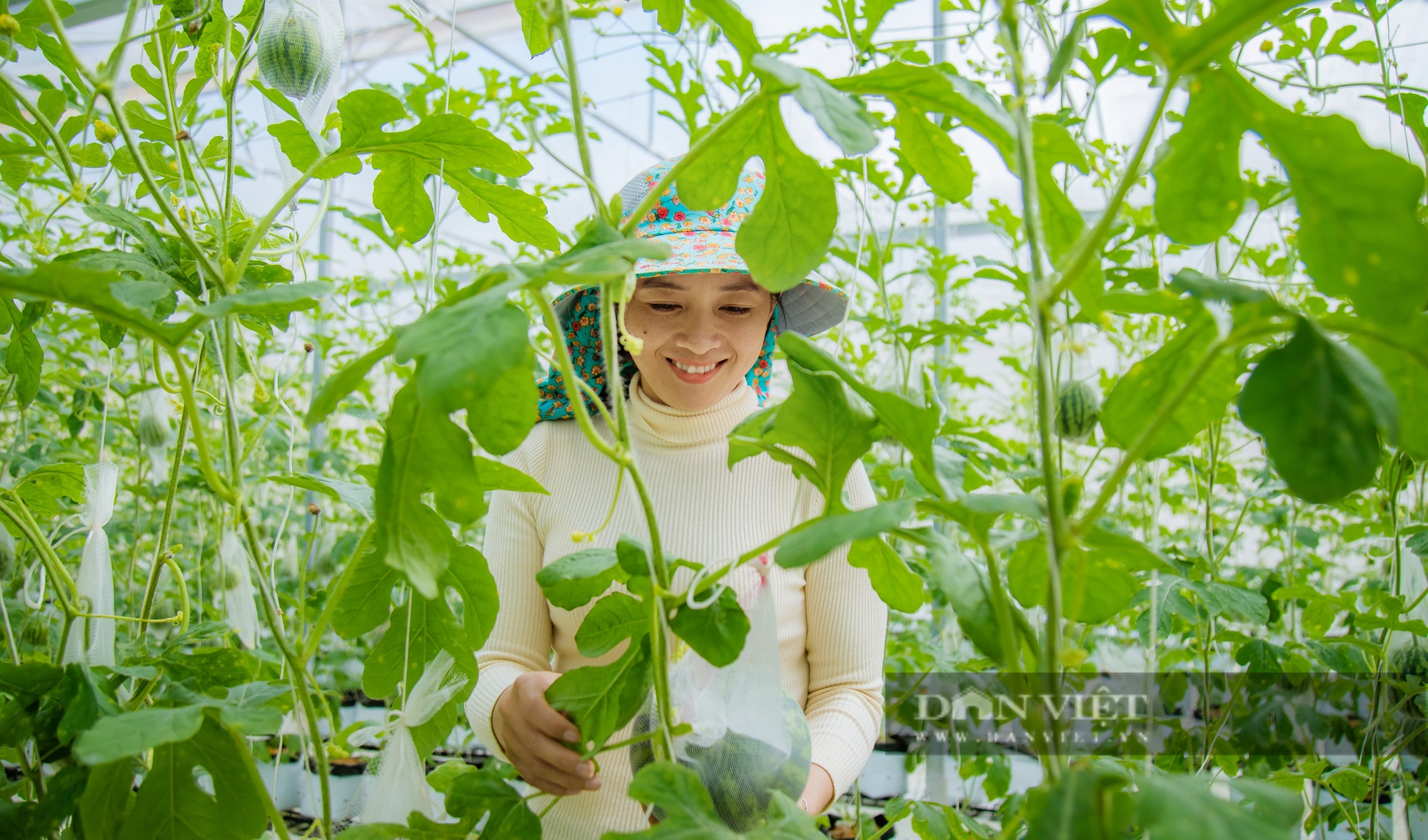 Nữ giám đốc “gàn dở”, bỏ lương hàng trăm triệu/tháng, về quê “nuôi cá và trồng rau” - Ảnh 1.