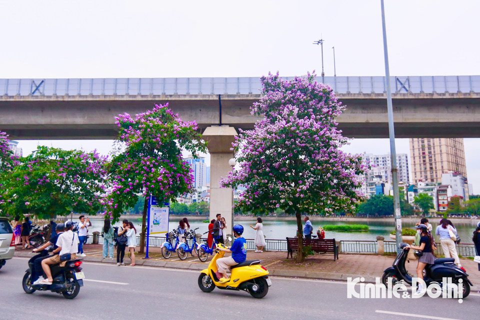 Phố Hoàng Cầu. Ảnh minh hoạ: Duy Khánh