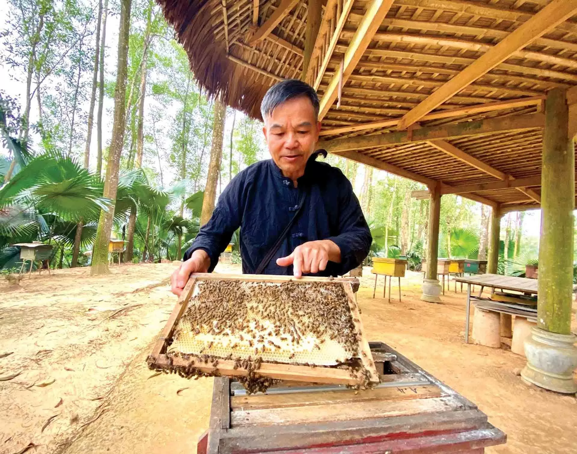 Sứ giả gieo duyên của người Tày