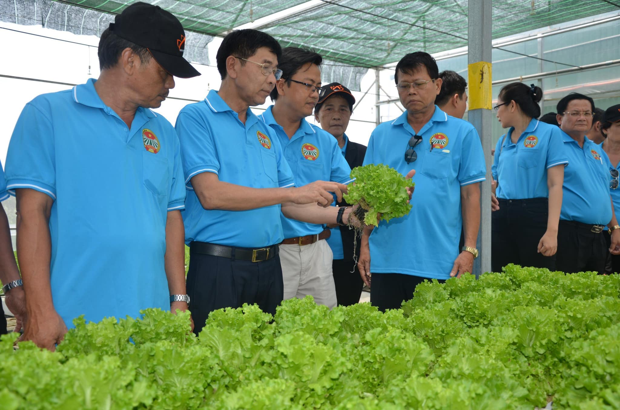 TP.HCM ban hành định mức kinh tế kỹ thuật về khuyến nông thay cho Quyết định cũ - Ảnh 1.