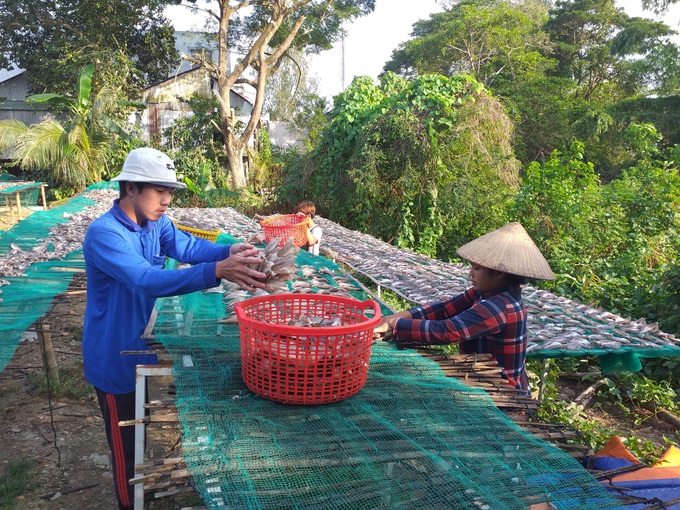 Tất bật mùa vụ cao điểm ở làng “khô Phú Thọ