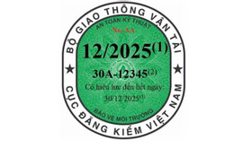 green 1734351467525360768814.jpg