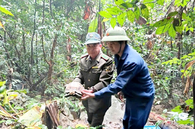 Quảng Bình: Thả cá thể Voọc, Rùa, Kỳ đà, Cu li quý hiếm có tên trong sách Đỏ về với môi trường tự nhiên- Ảnh 1.