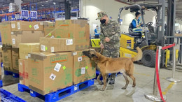 noi_bai202403011432582024031021 1733912090067.jpeg