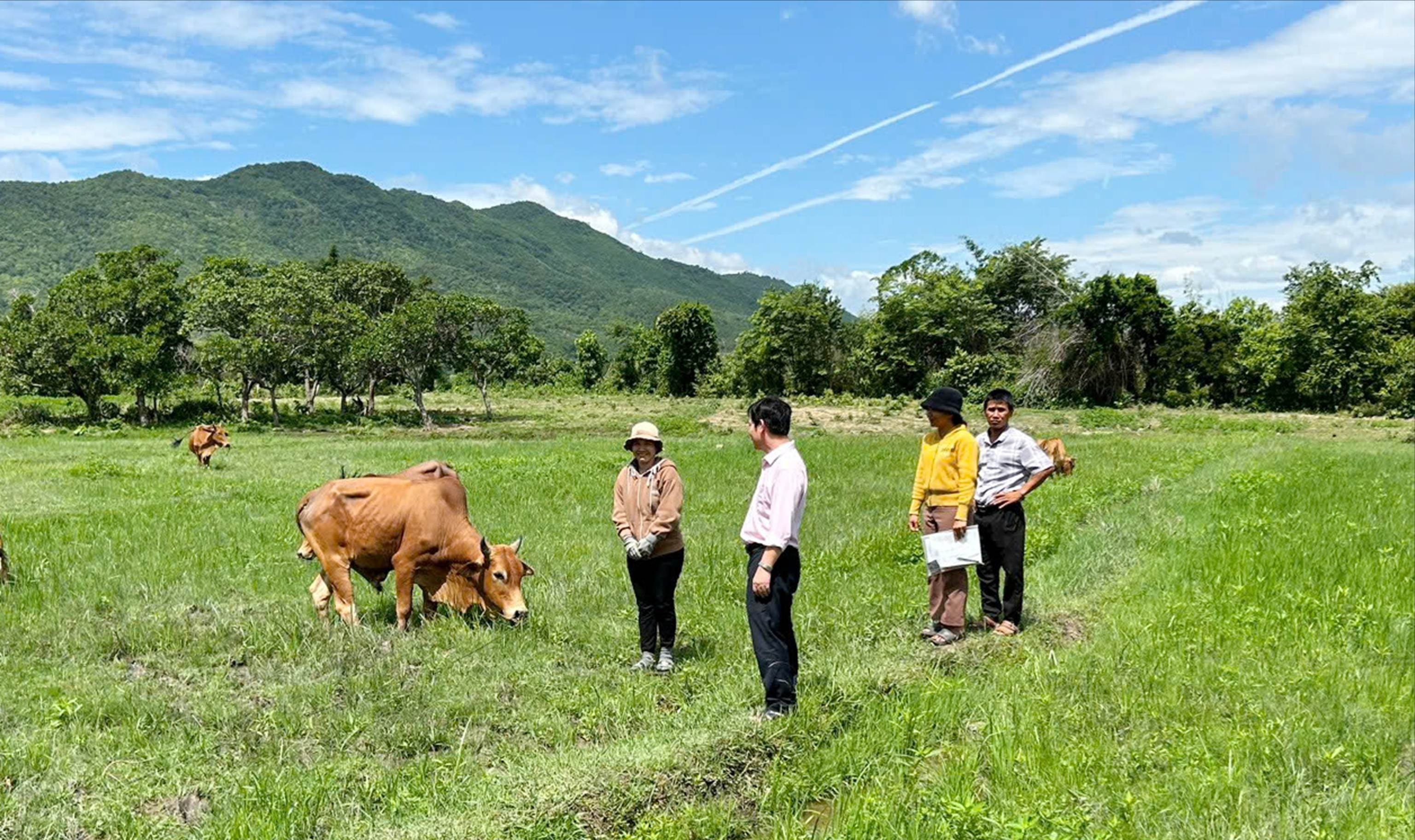 Hiệu quả từ nguồn vốn tín dụng chính sách giúp hàng nghìn hộ gia đình ở vùng cao Bác Ái vươn lên thoát nghèo, tạo công ăn việc làm, nâng cao chất lượng cuộc sống...