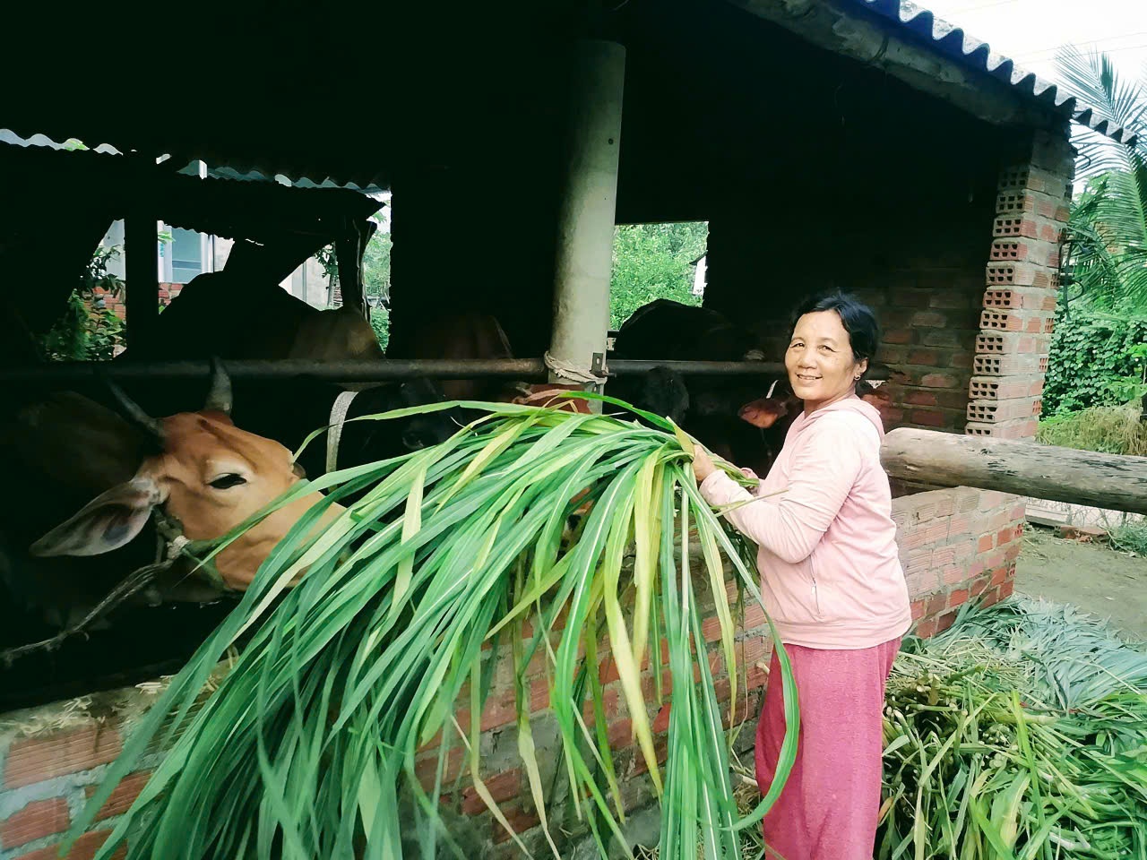 Về công tác phong trào xóa đói giảm nghèo