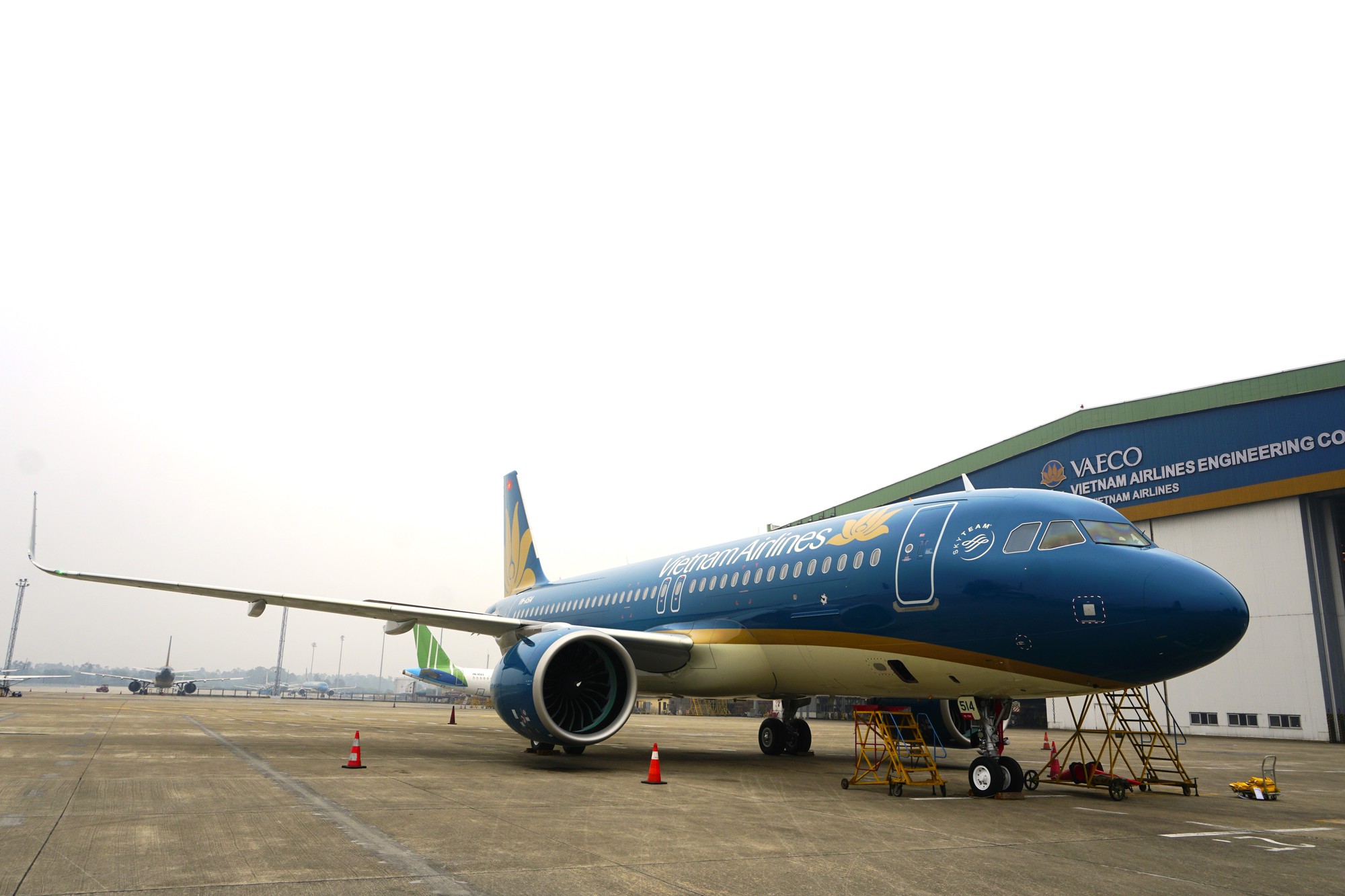 Vietnam Airlines đón tàu bay mới trước cao điểm Tết 2025- Ảnh 1.