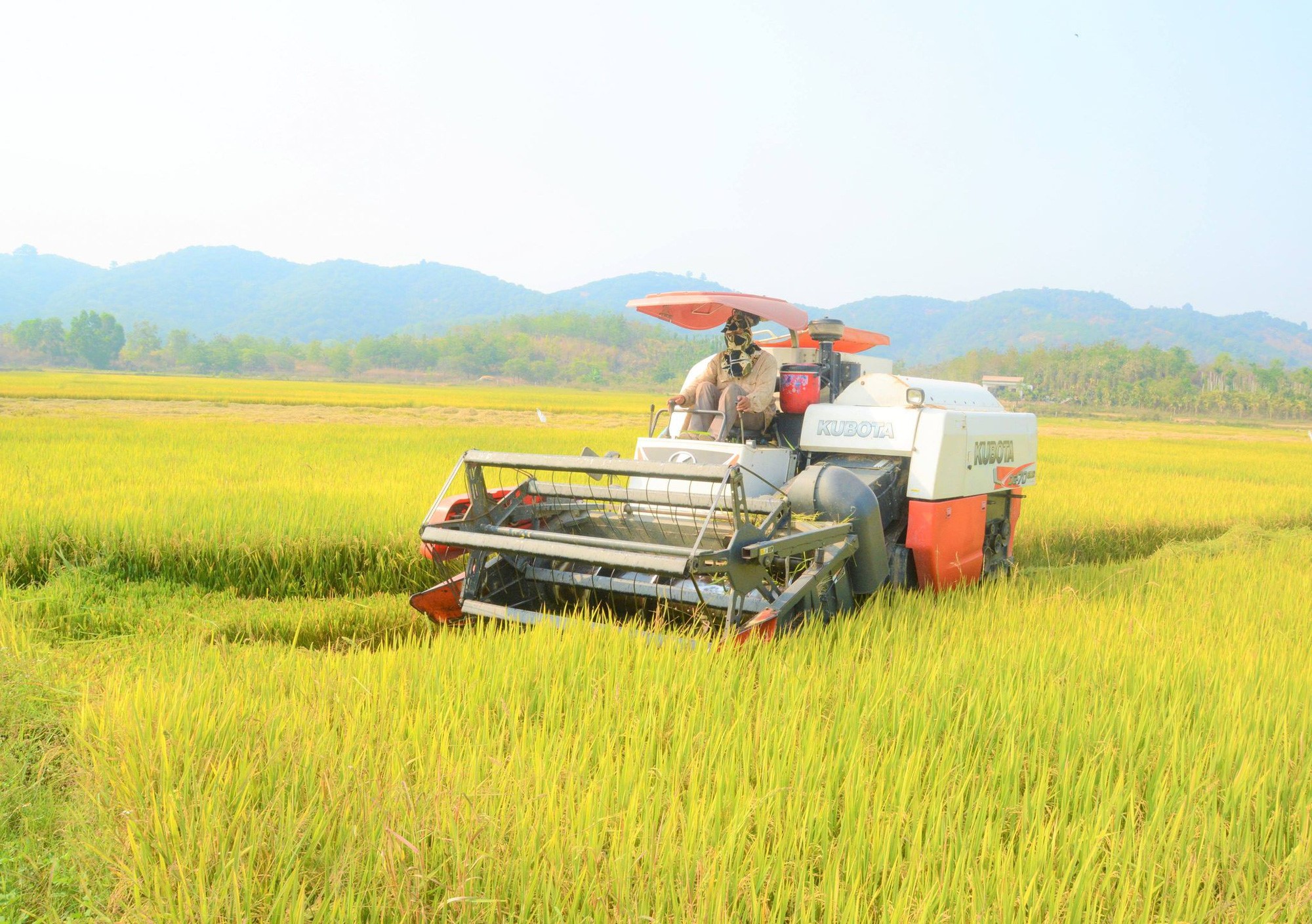 Đắk Nông: Xây dựng nông thôn mới đi vào chiều sâu, bền vững - Ảnh 1.