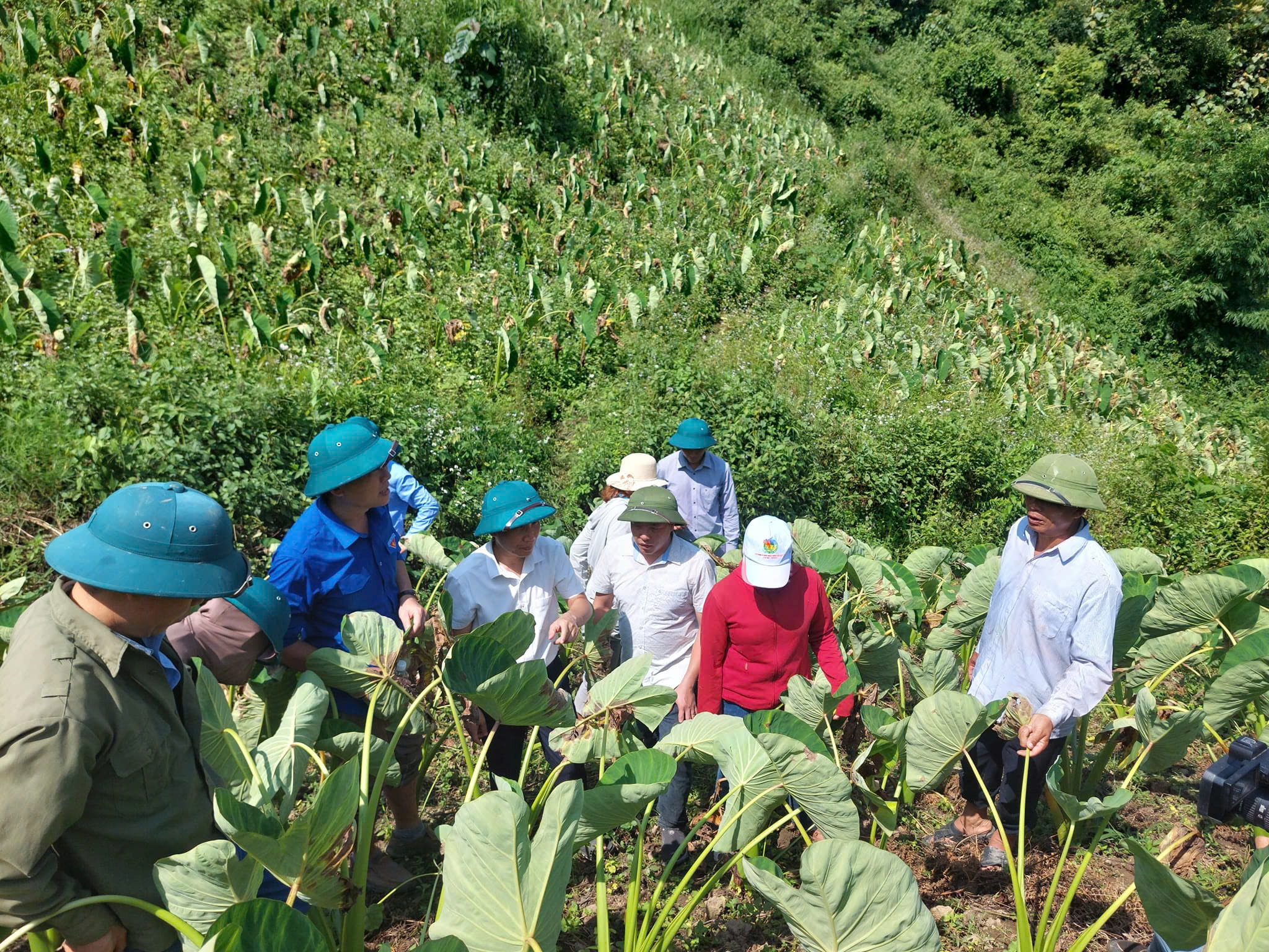 Điện Biên Đông đổi thay sau “cơn mê” dài - Ảnh 1.