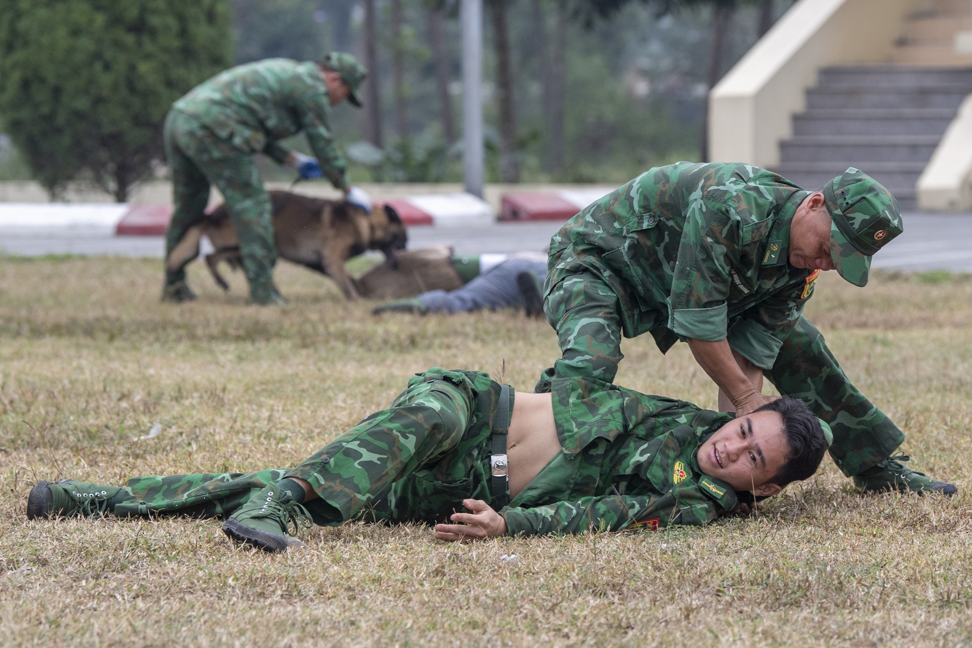 Quân khuyển trình diễn vượt vòng lửa, bắt tội phạm ở Triển lãm Quốc phòng - 8