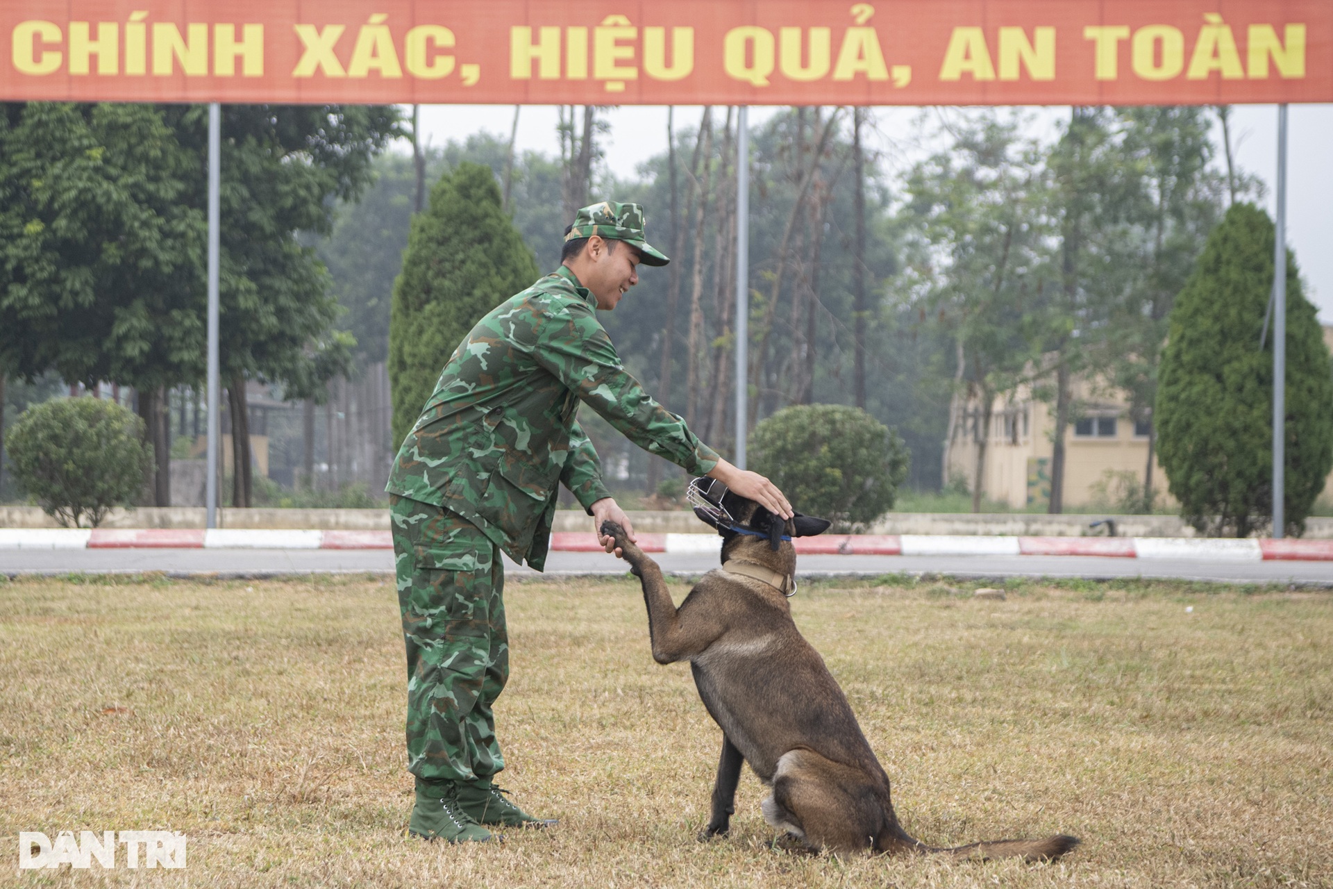 Quân khuyển trình diễn vượt vòng lửa, bắt tội phạm ở Triển lãm Quốc phòng - 4