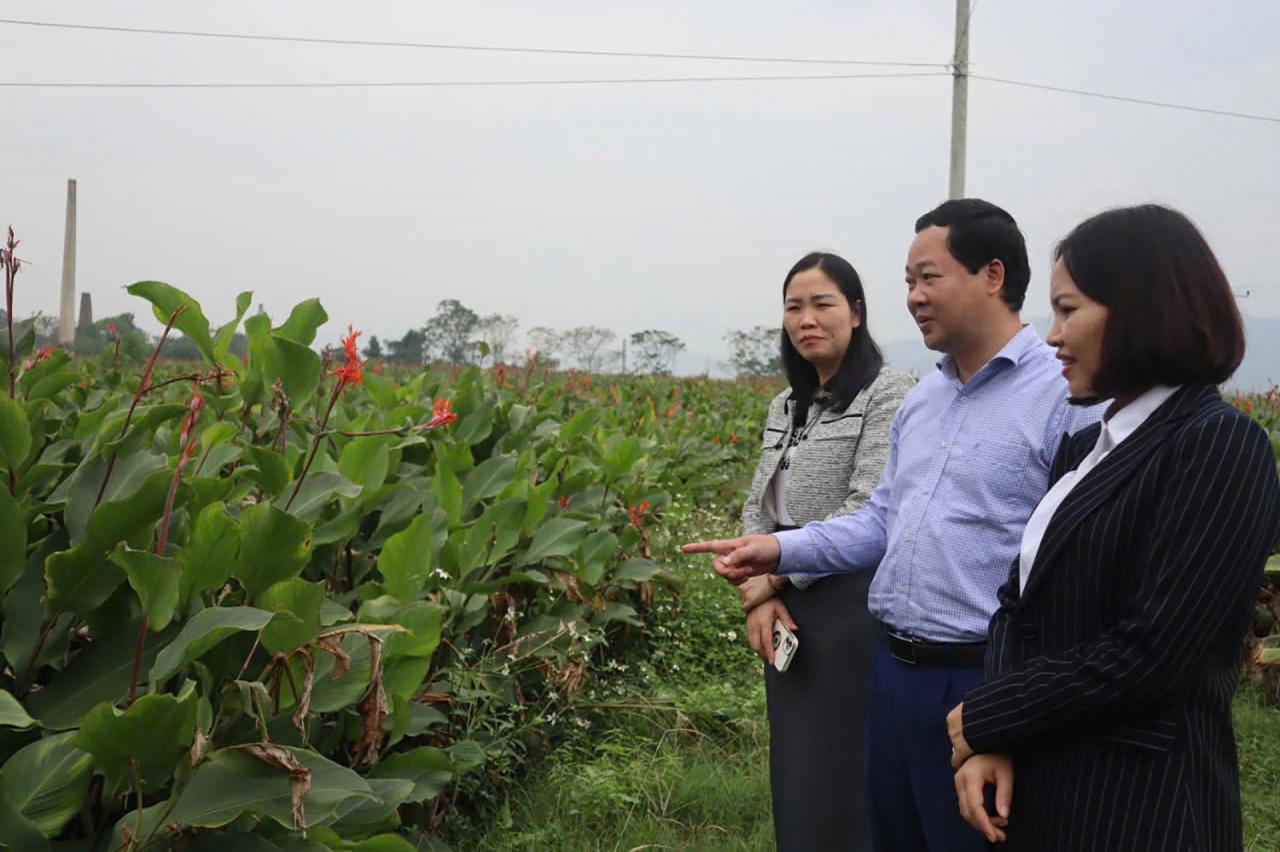 Chương trình Mỗi xã một sản phẩm (OCOP): Mở hướng phát triển mới cho Ba Vì