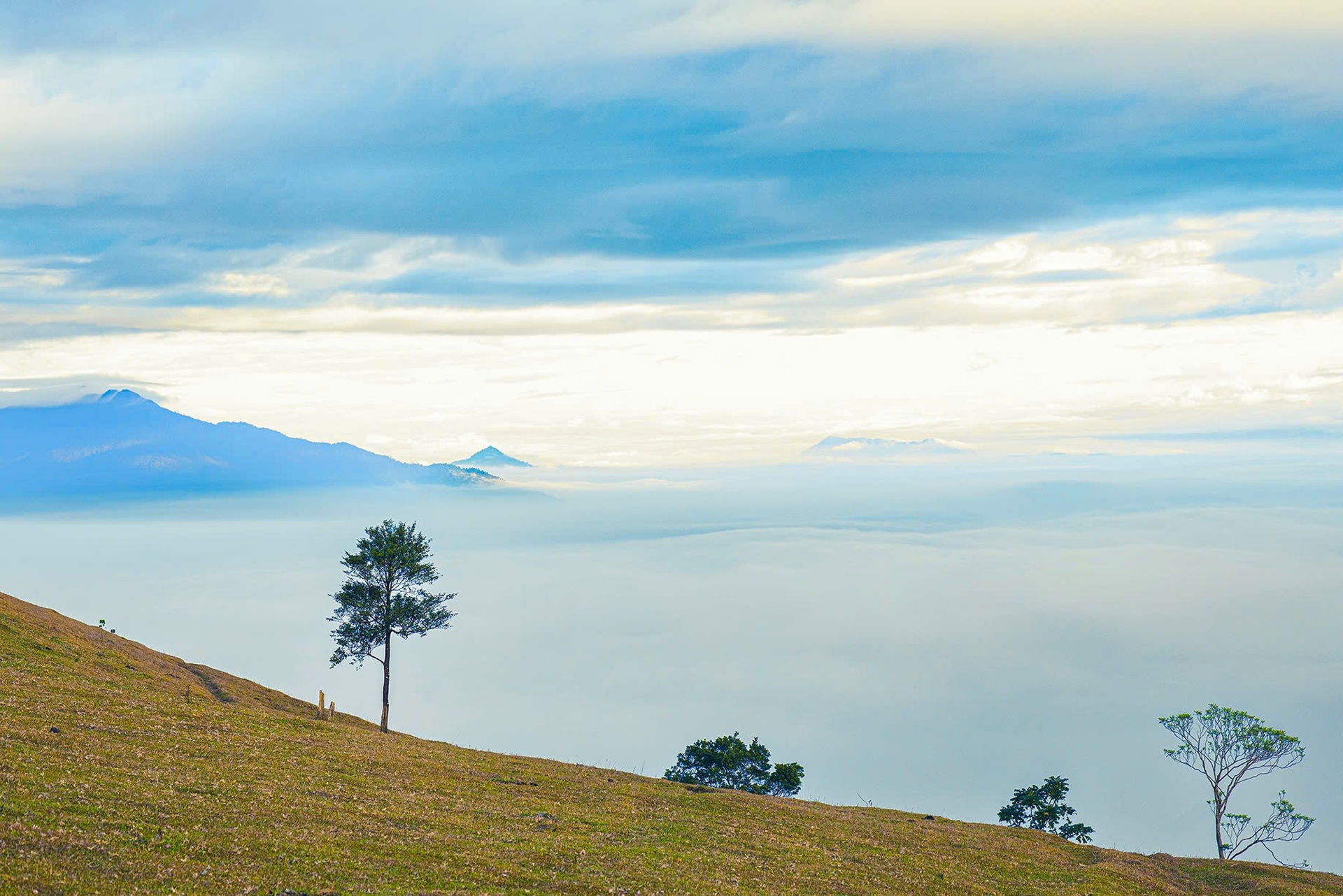 Ngắm thảo nguyên xanh mướt, điểm trekking lý tưởng ở Thanh Hóa - 4