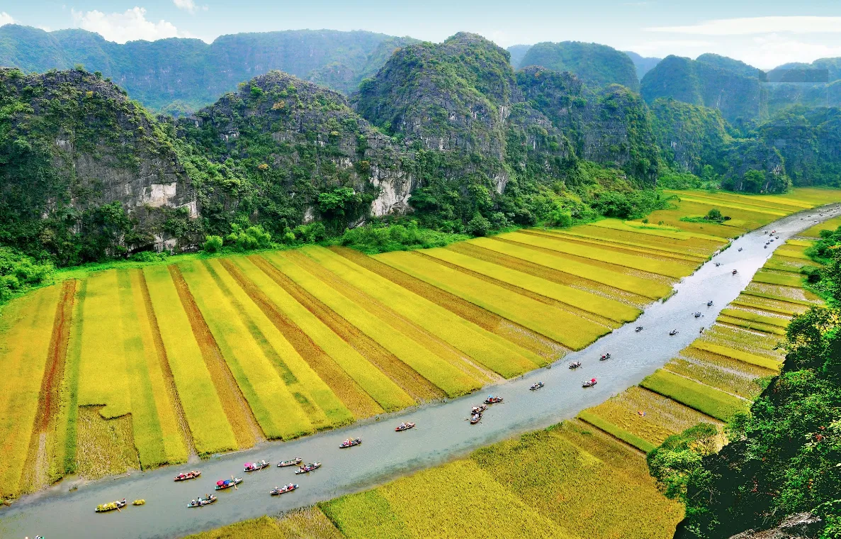 Quần thể Danh thắng Tràng An chính thức hiện diện trên “bảo tàng số” Google Arts & Culture - Ảnh 3.