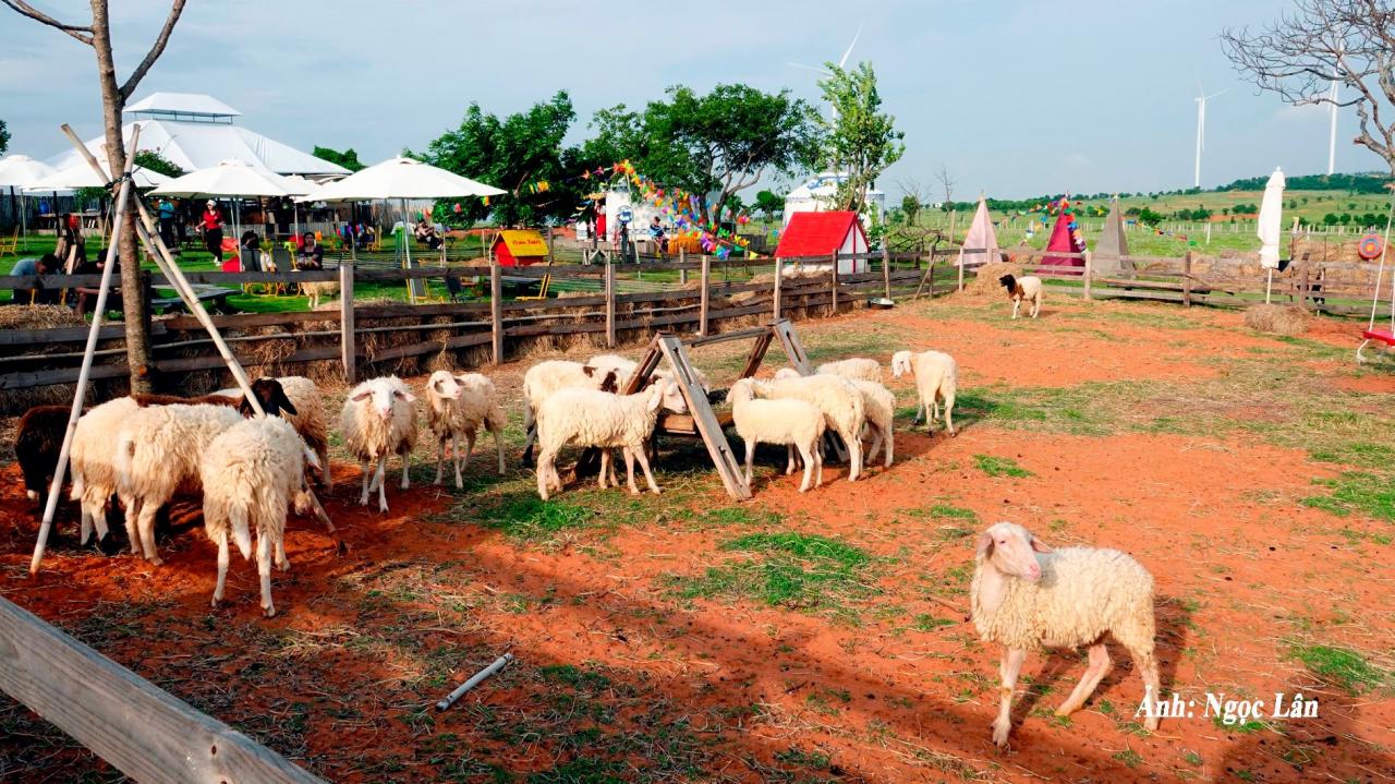 Khi điểm du lịch cộng đồng trở thành sản phẩm OCOP