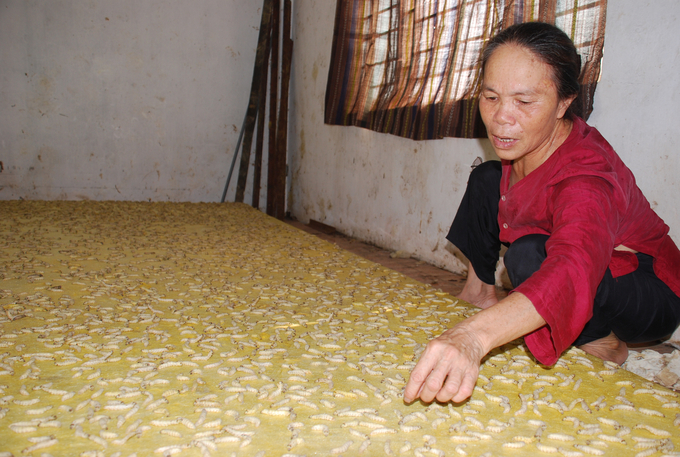 Mỹ Đức phát huy sản phẩm OCOP dựa trên nền tảng làng nghề truyền thống