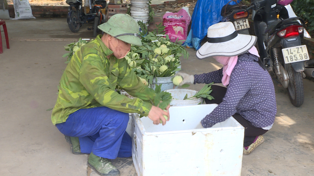 OCOP Quảng Ninh - Điểm tựa cho phát triển kinh tế nông nghiệp