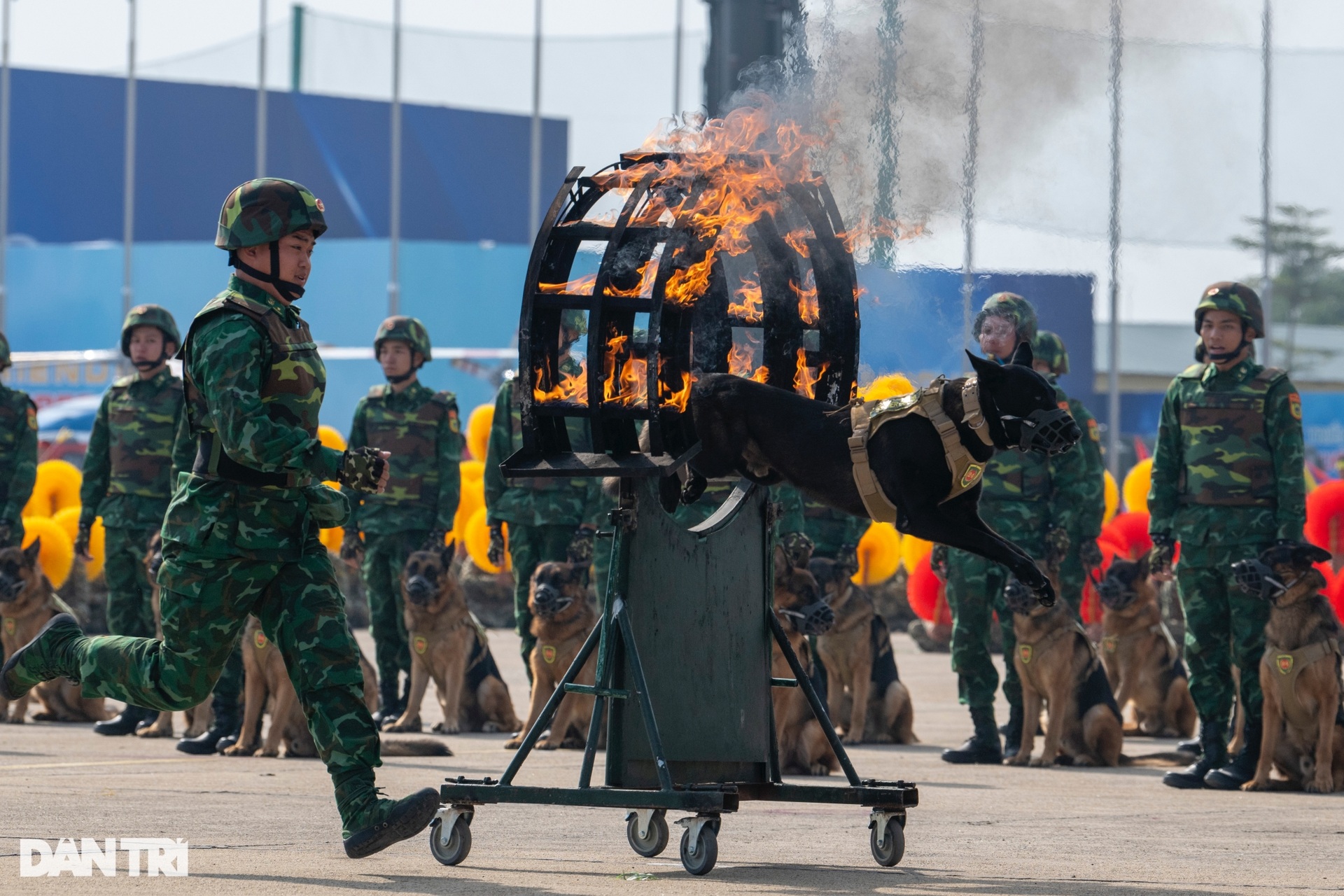 Mãn nhãn hình ảnh Lễ khai mạc Triển lãm Quốc phòng quốc tế Việt Nam 2024 - 11