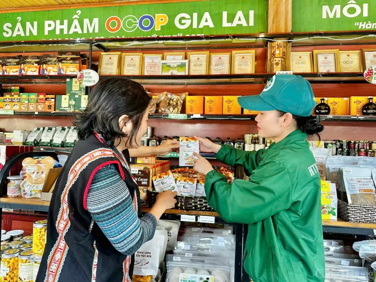 Sản phẩm OCOP Gia Lai nhộn nhịp vào mùa phục vụ Tết