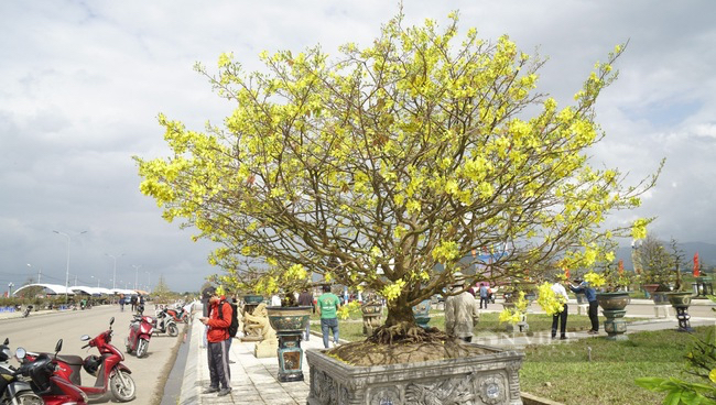 Lễ hội 