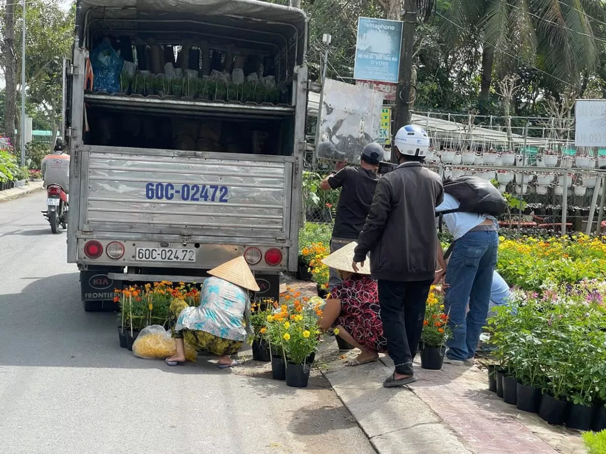 Làng hoa Sa Đéc nức tiếng miền Tây hối hả vụ Tết