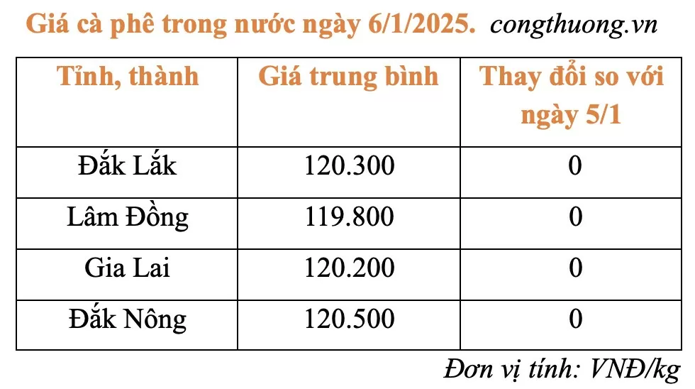 Giá cà phê hôm nay 6/1/2025: Giá cà phê