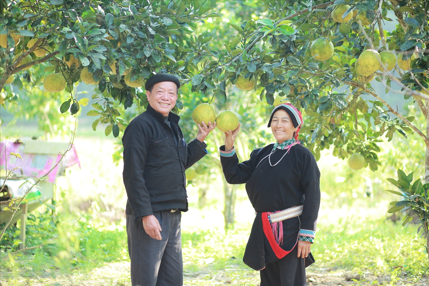 Việc triển khai thực hiện các Chương trình MTQG nói chung và Chương trình MTQG 1719 nói riêng trên địa bàn tỉnh Hà Giang đã góp phần cải thiện đời sống của người dân, thúc đẩy kinh tế - xã hội theo hướng bền vững